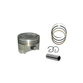 Pistão Com Anél FAN 125 2009 1,00 Smartfox Modelo Original