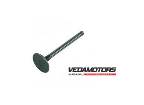 Valvula de Admissao  Neo 115 2011 Vedamotors Modelo Original