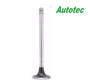 Valvula de Escap da Crypton 105/115 Autotec Modelo Original